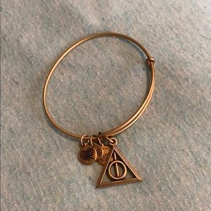HP Alex and ani